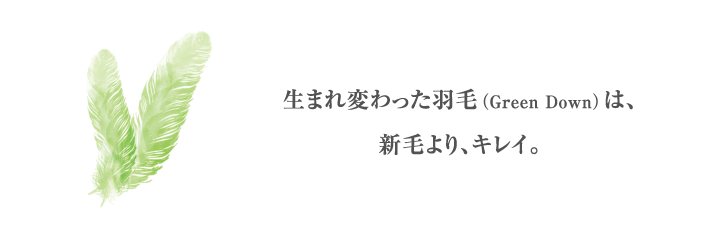 生まれ変わった羽毛（GREEN DOWN）は新毛より、キレイ。